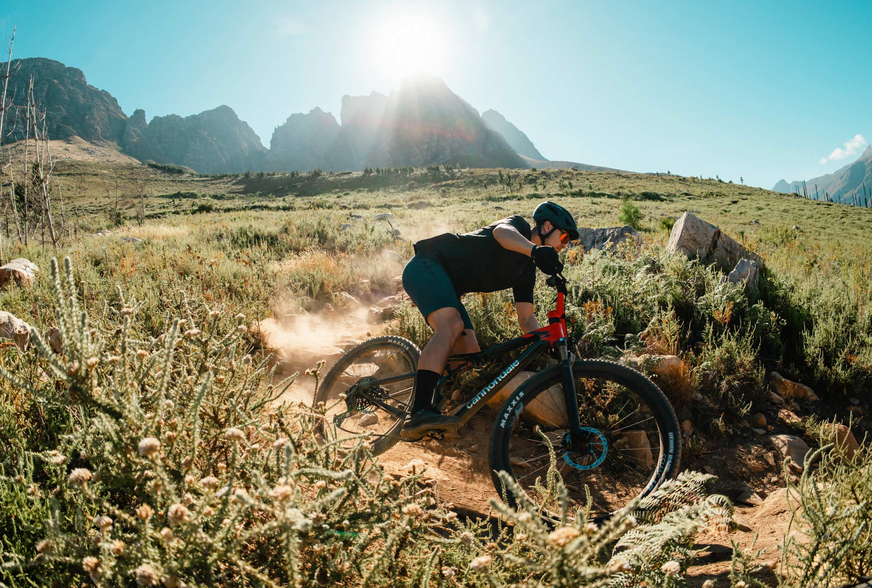 The Cannondale Scalpel – Reserve Wheels EU